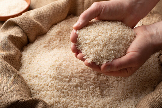 Rice